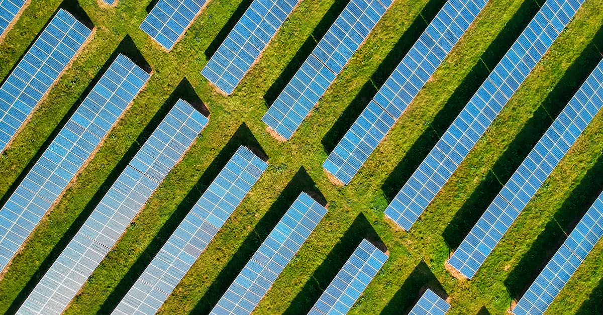 10 Best Practices for Maintaining Solar Panels